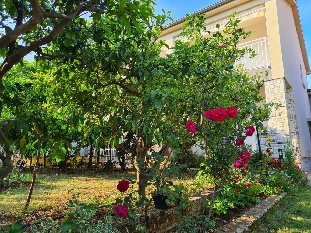 Apartments Ana Медулин Екстер'єр фото
