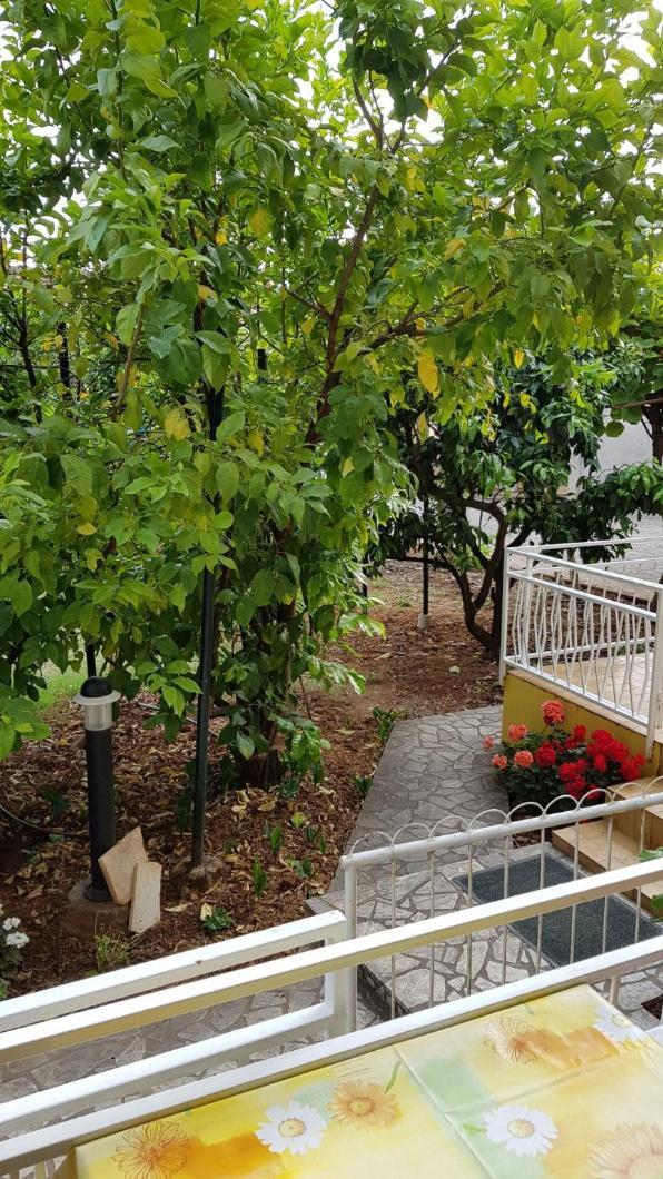 Apartments Ana Медулин Номер фото